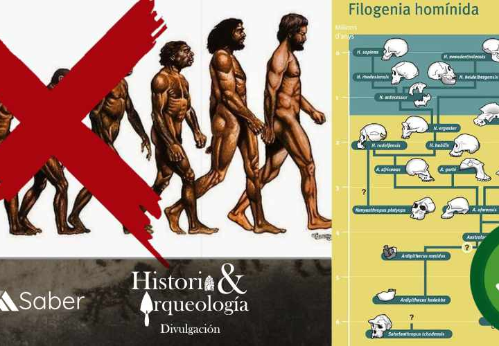 El origen del humano moderno (Homo sapiens sapiens)